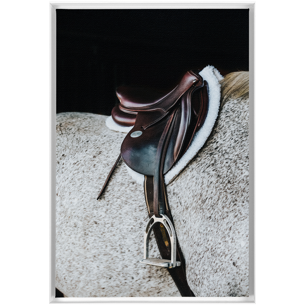 Apollo Series 3, Framed Canvas