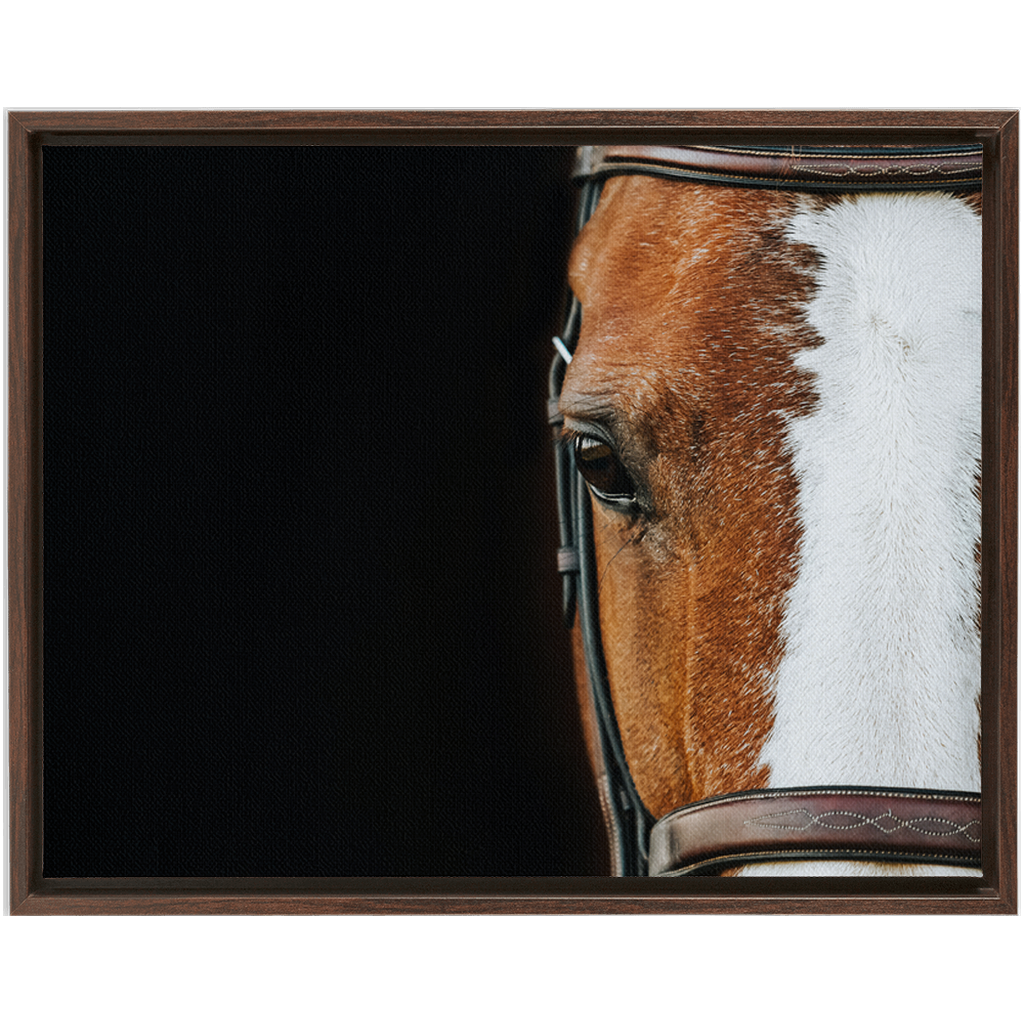 Huntsman Series 5, Framed Canvas