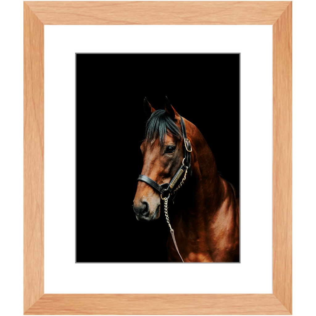 American Pharoah Series 2, Framed Prints