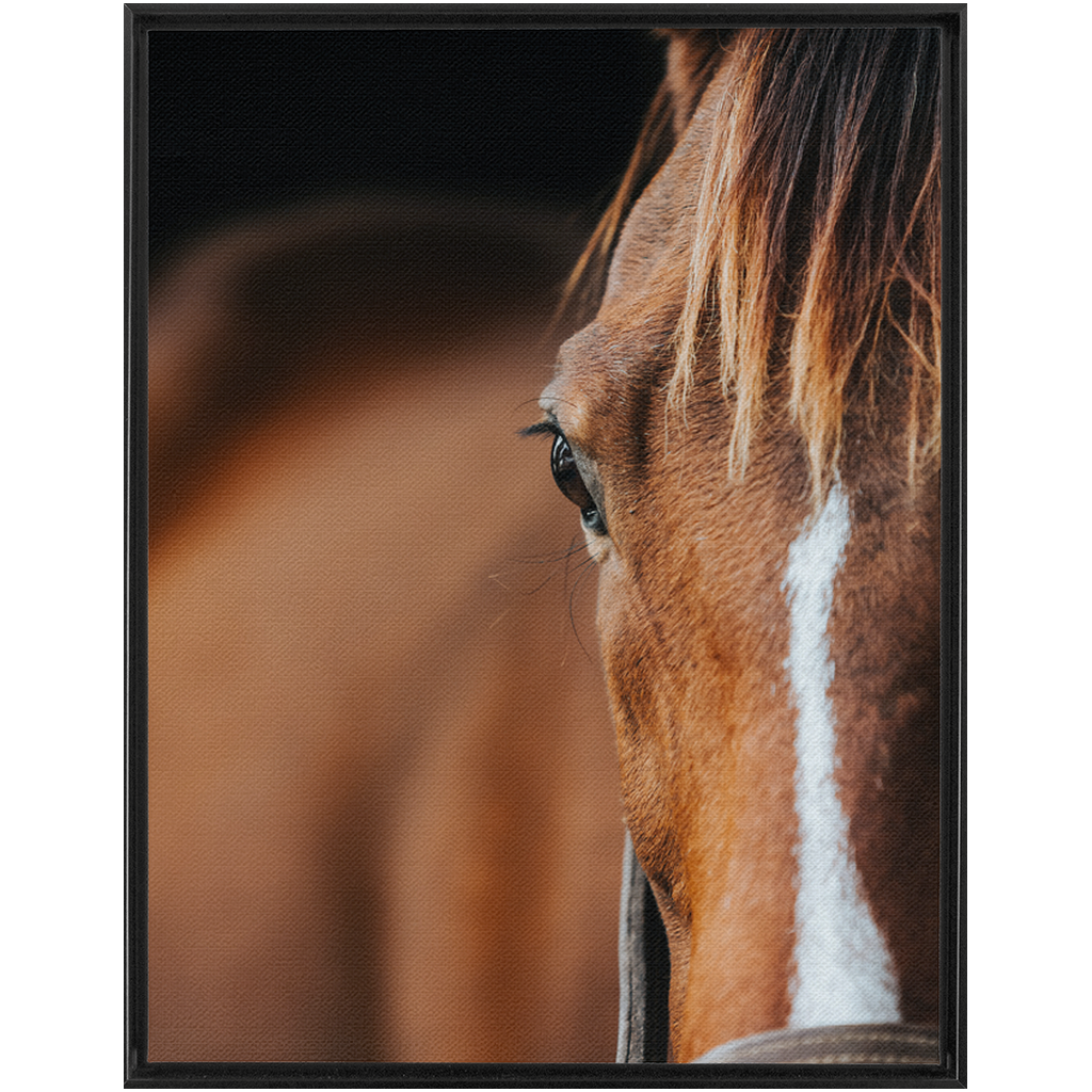 Majestic 1, Framed Canvas