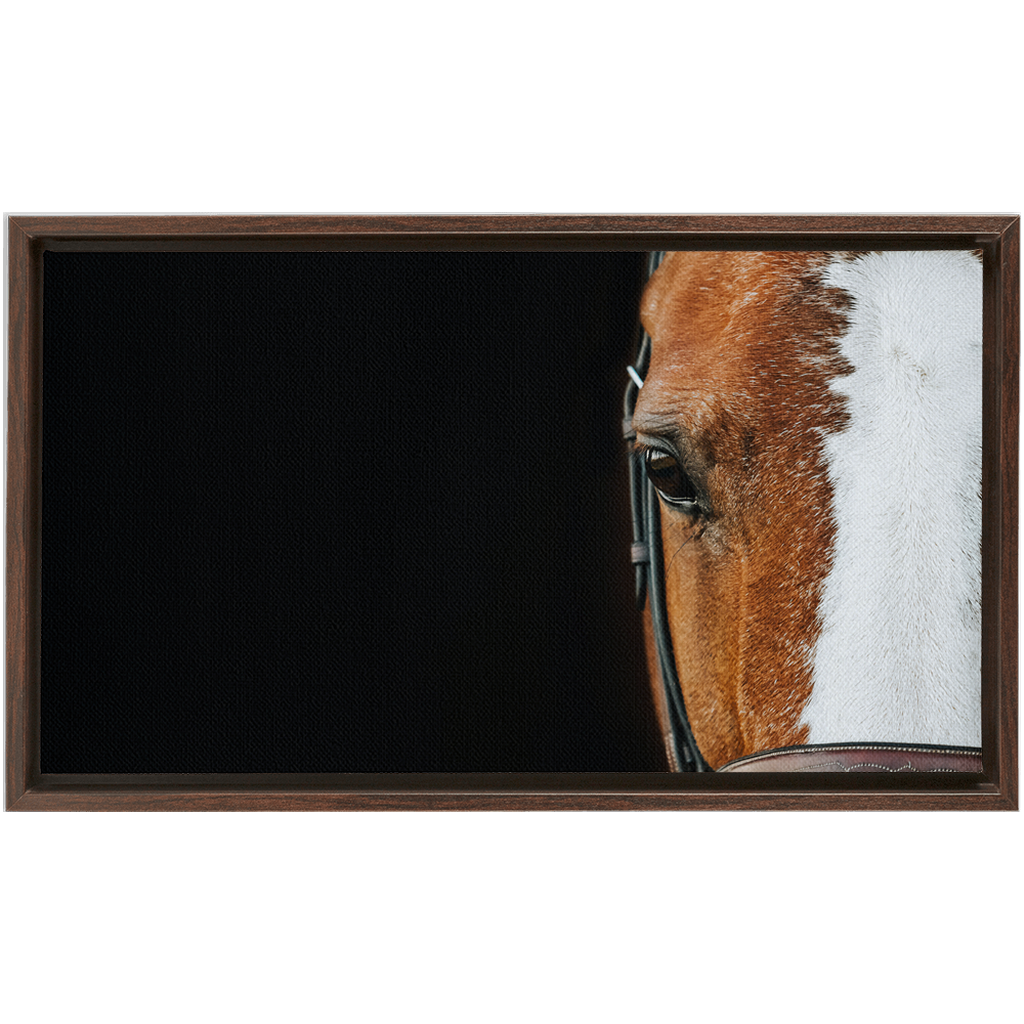Huntsman Series 5, Framed Canvas