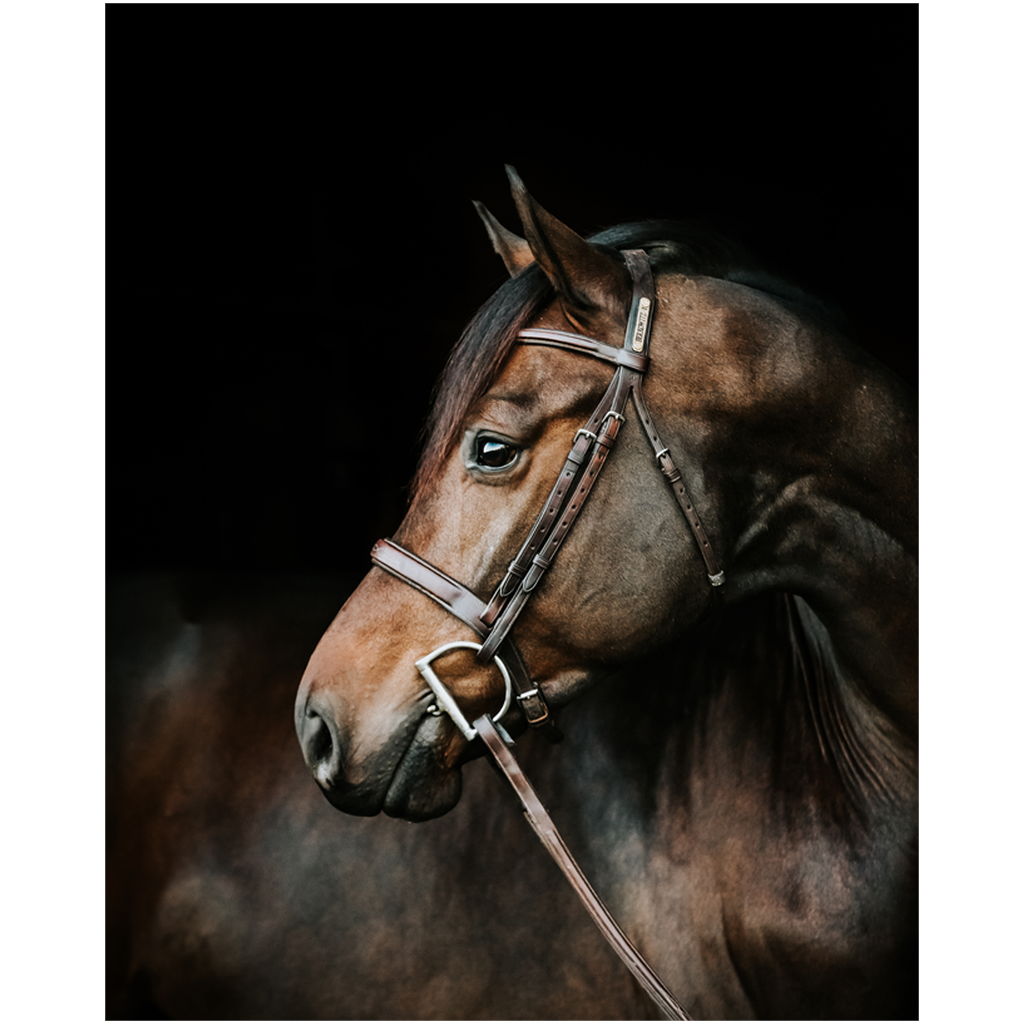 Jovial Series 3, Print