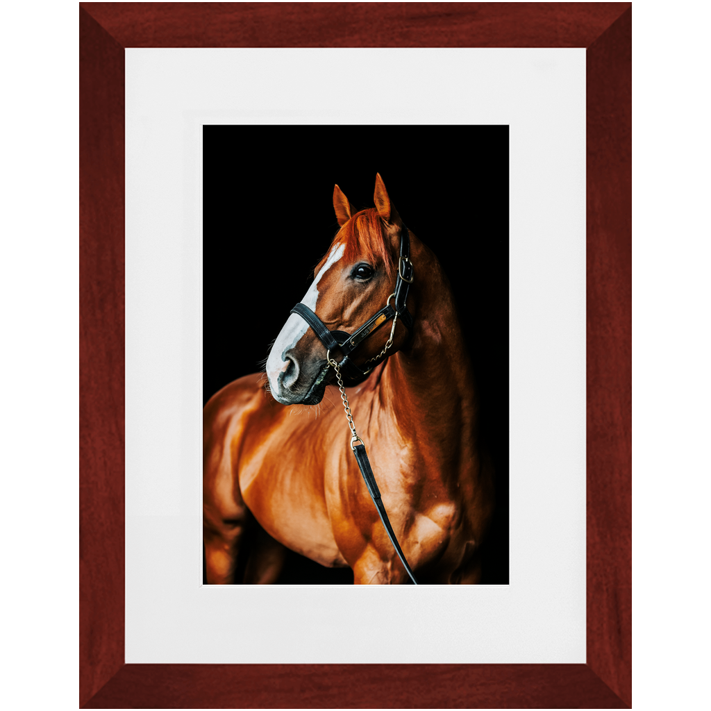 Justify Series 1, Framed Print