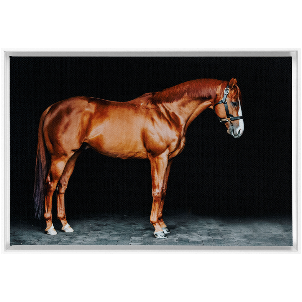 Justify Series 6, Framed Canvas