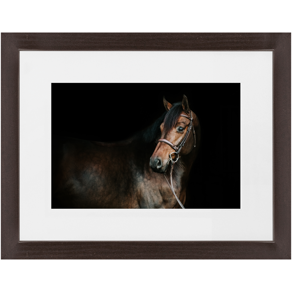 Jovial Series 2, Framed Print