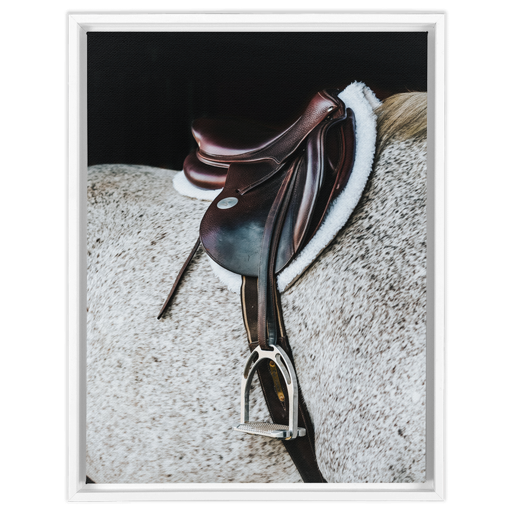 Apollo Series 3, Framed Canvas