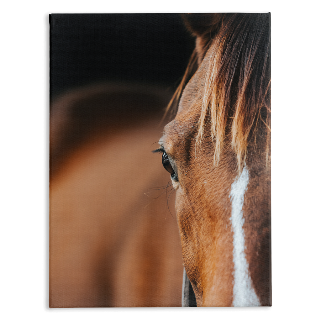 Majestic 1, Stretched Canvas