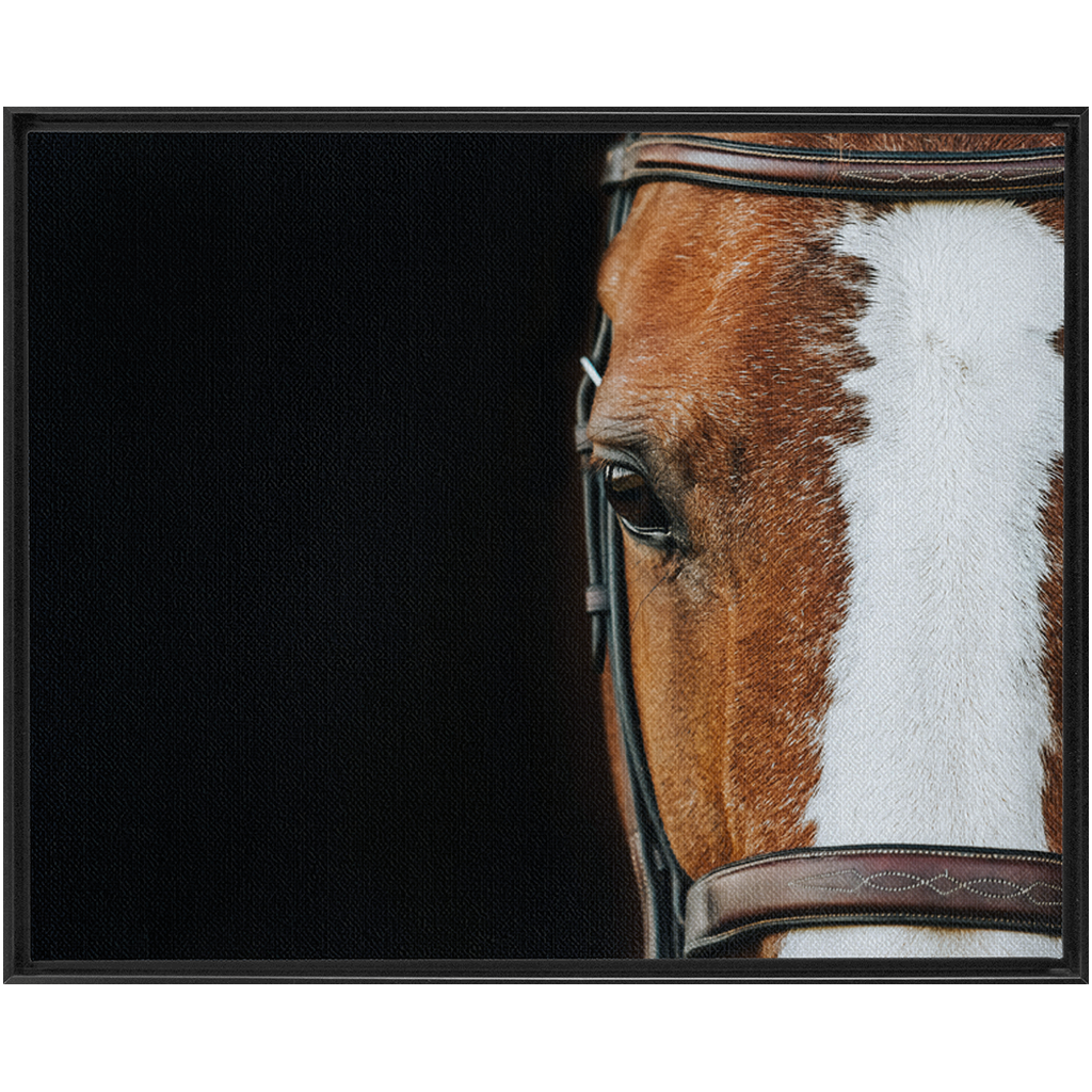 Huntsman Series 5, Framed Canvas