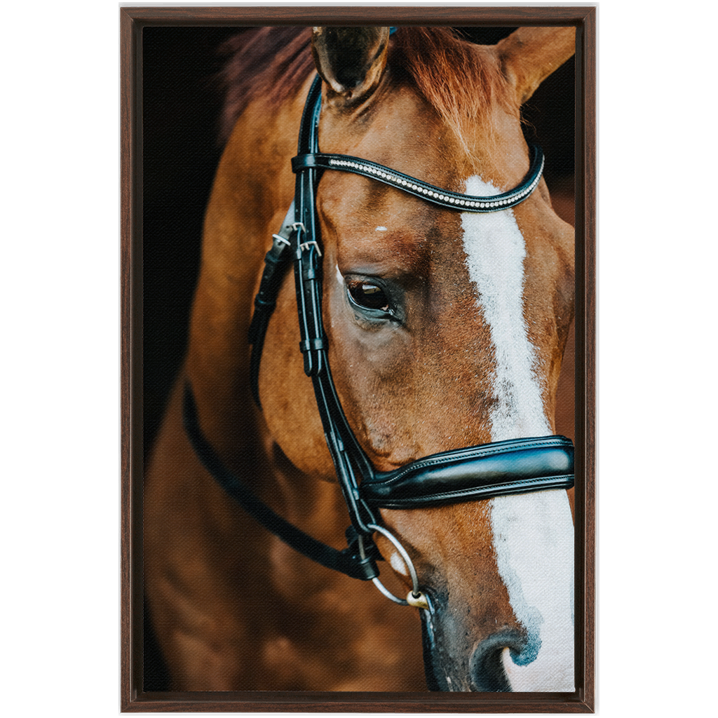 Hudson Series 3, Framed Canvas