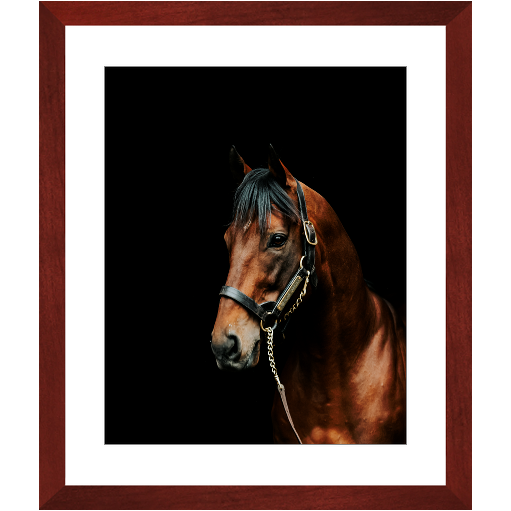 American Pharoah Series 2, Framed Prints