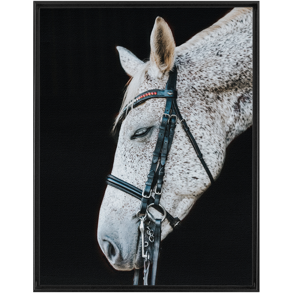 Apollo Series 1, Framed Canvas