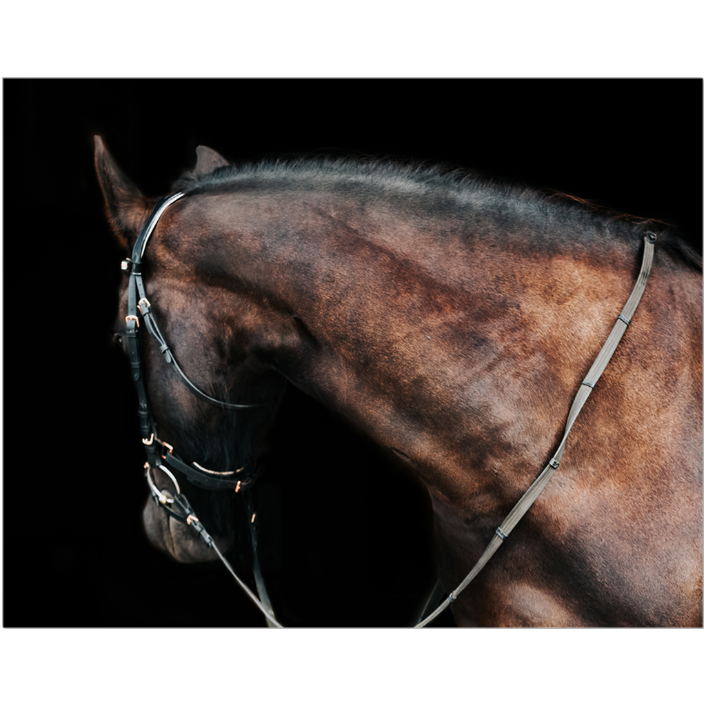 Regal Series 7, Print