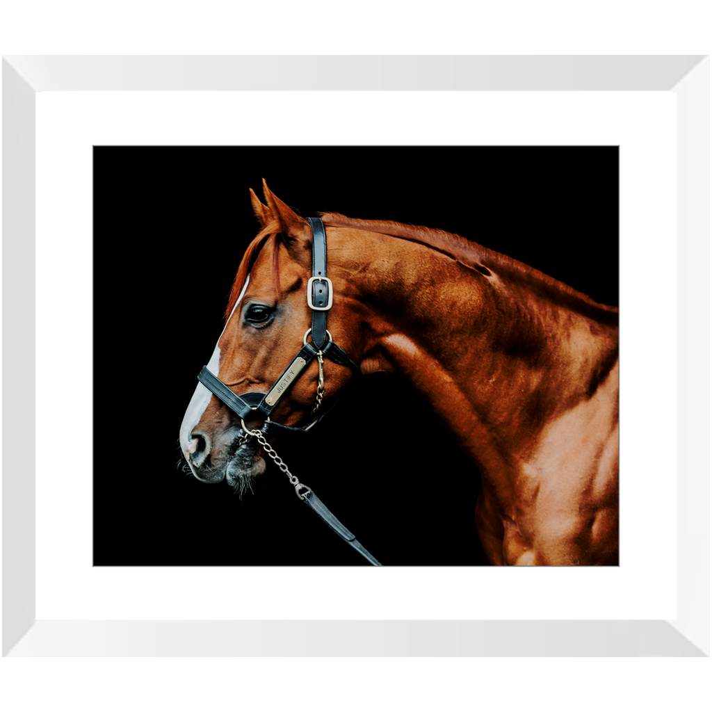 Justify Series 3, Framed Print
