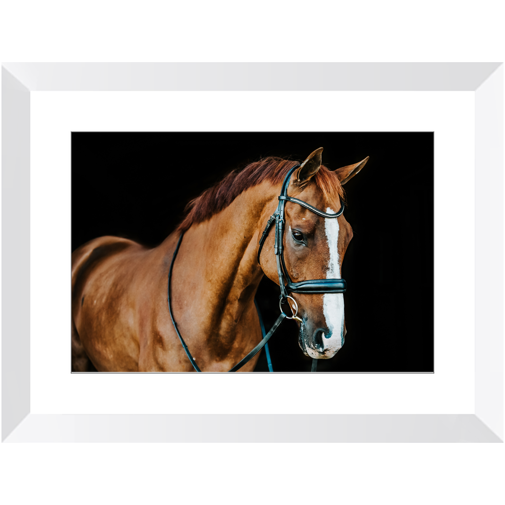 Hudson Series 1, Framed Print