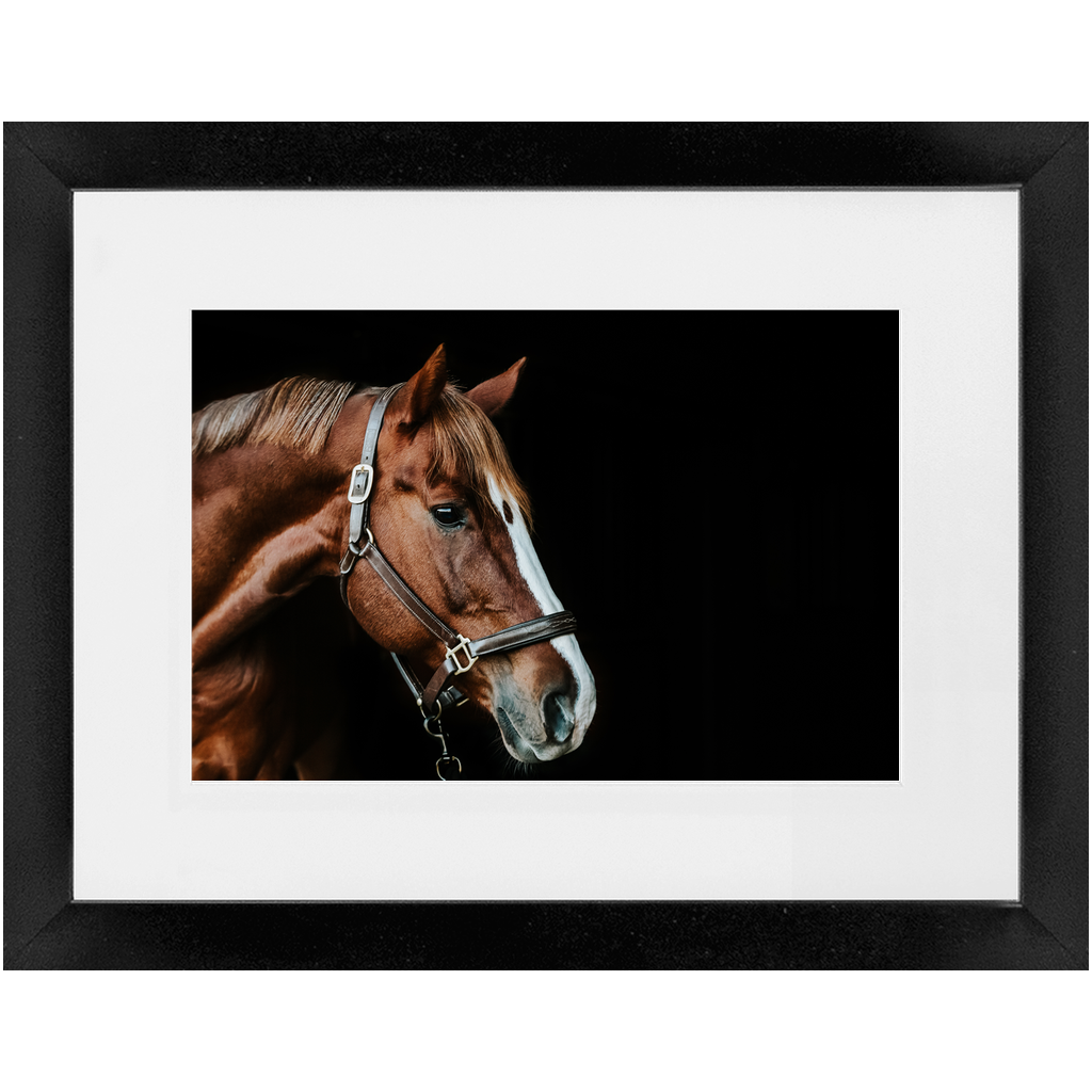 Django Series 5, Framed Print