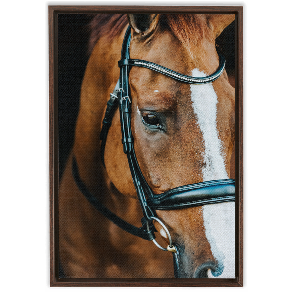 Hudson Series 3, Framed Canvas