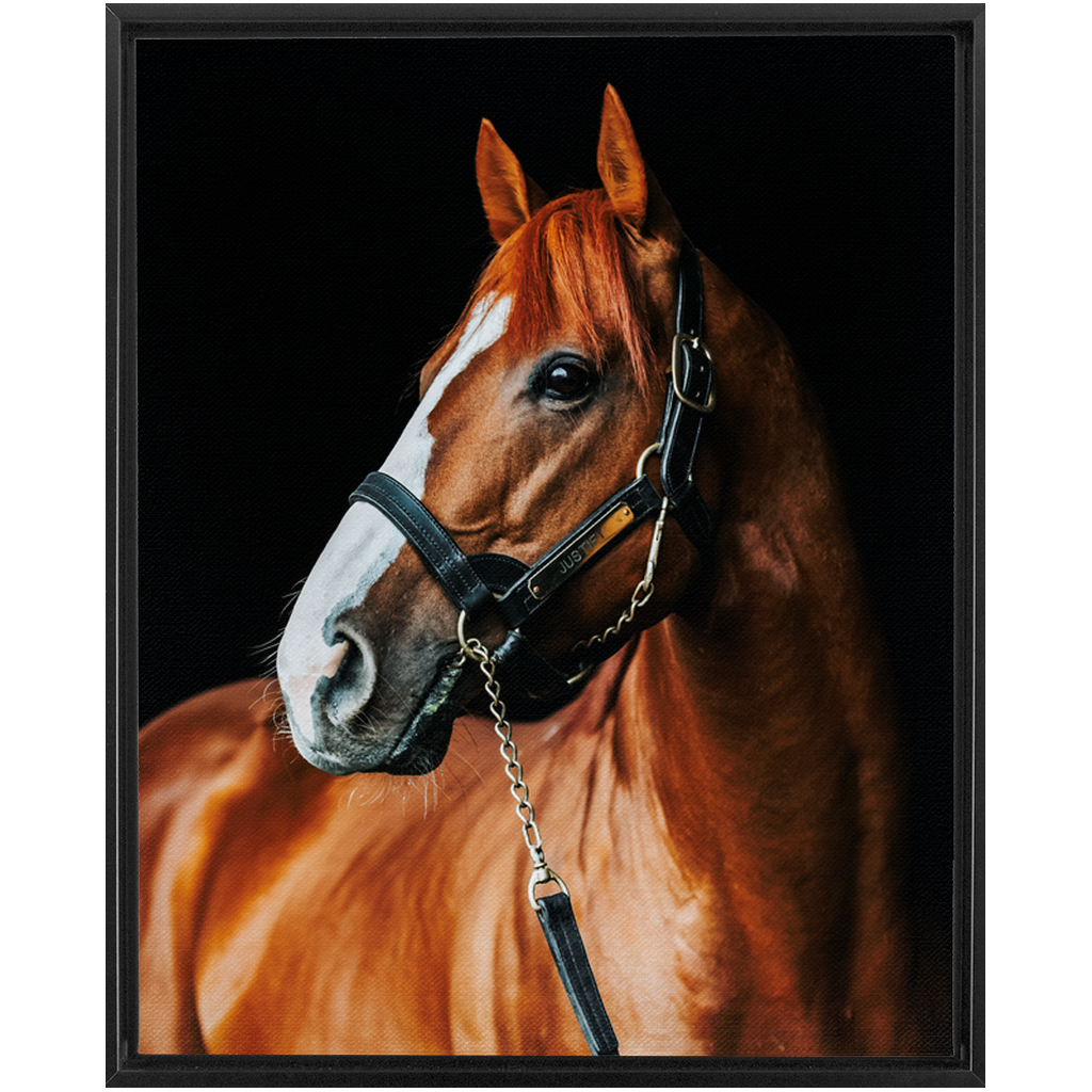 Justify Series 1, Framed Canvas