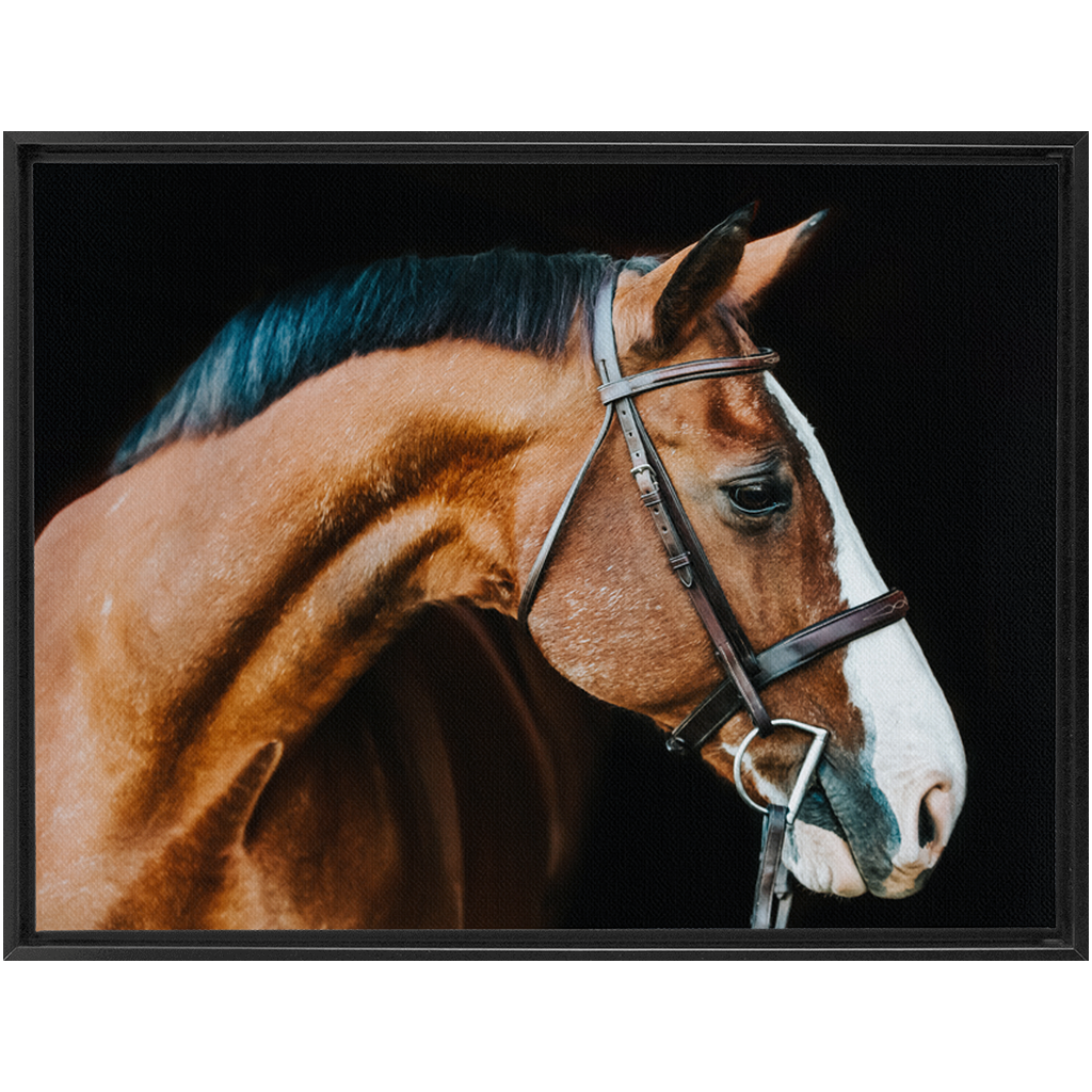 Huntsman Series 3, Framed Canvas