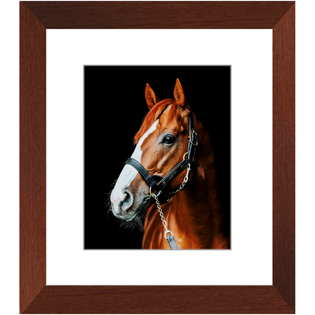 Justify Series 5, Framed Print