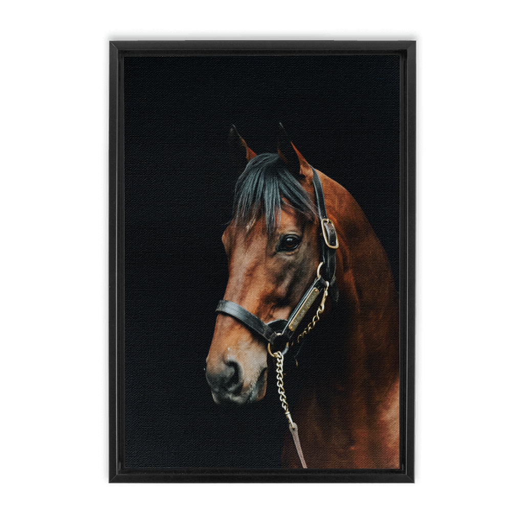 American Pharoah Series 2, Framed Canvas