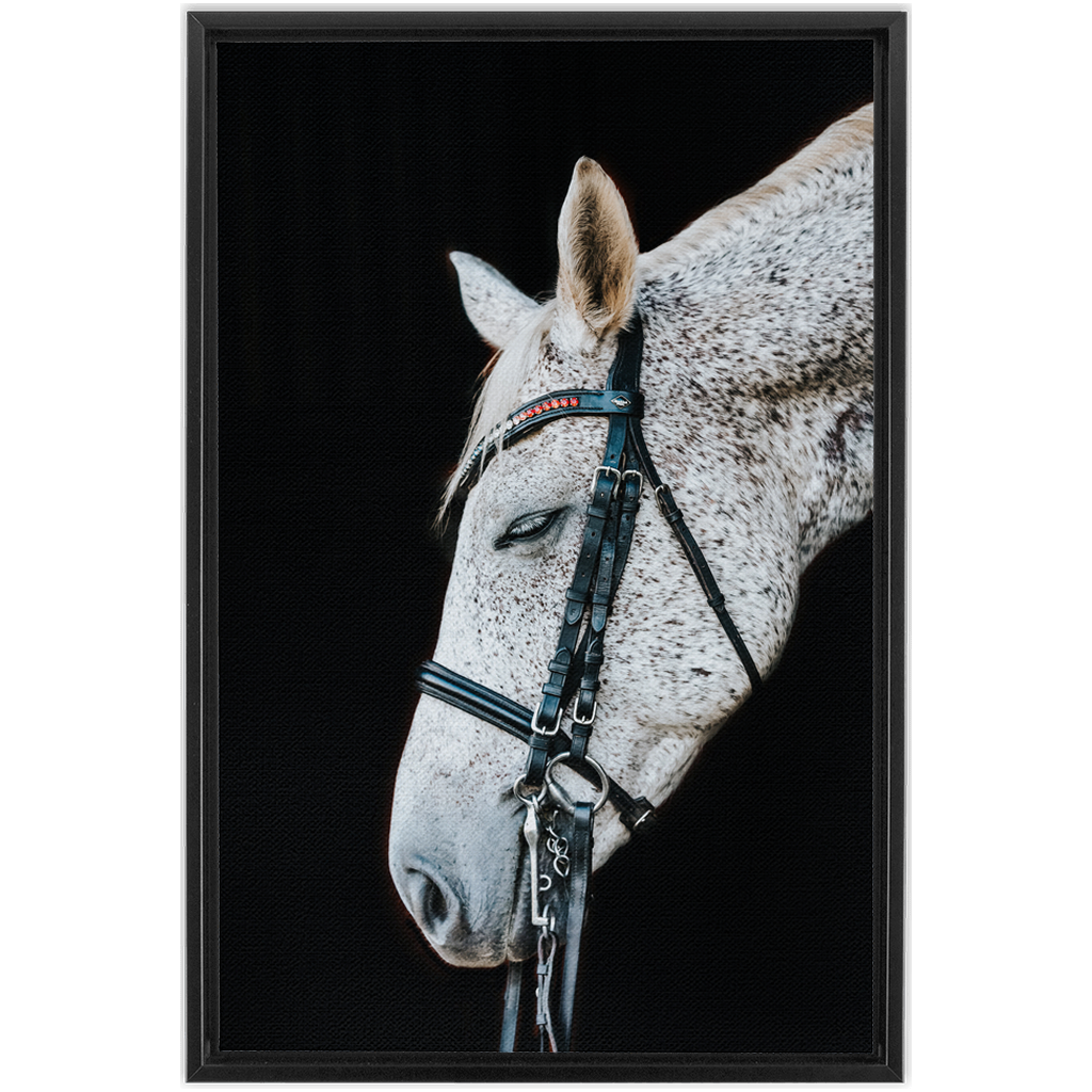 Apollo Series 1, Framed Canvas