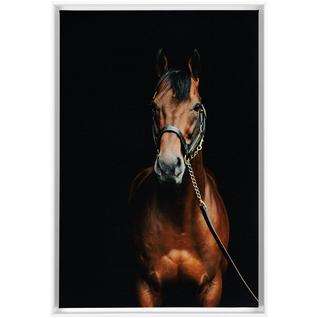 American Pharoah Series 4, Framed Canvas
