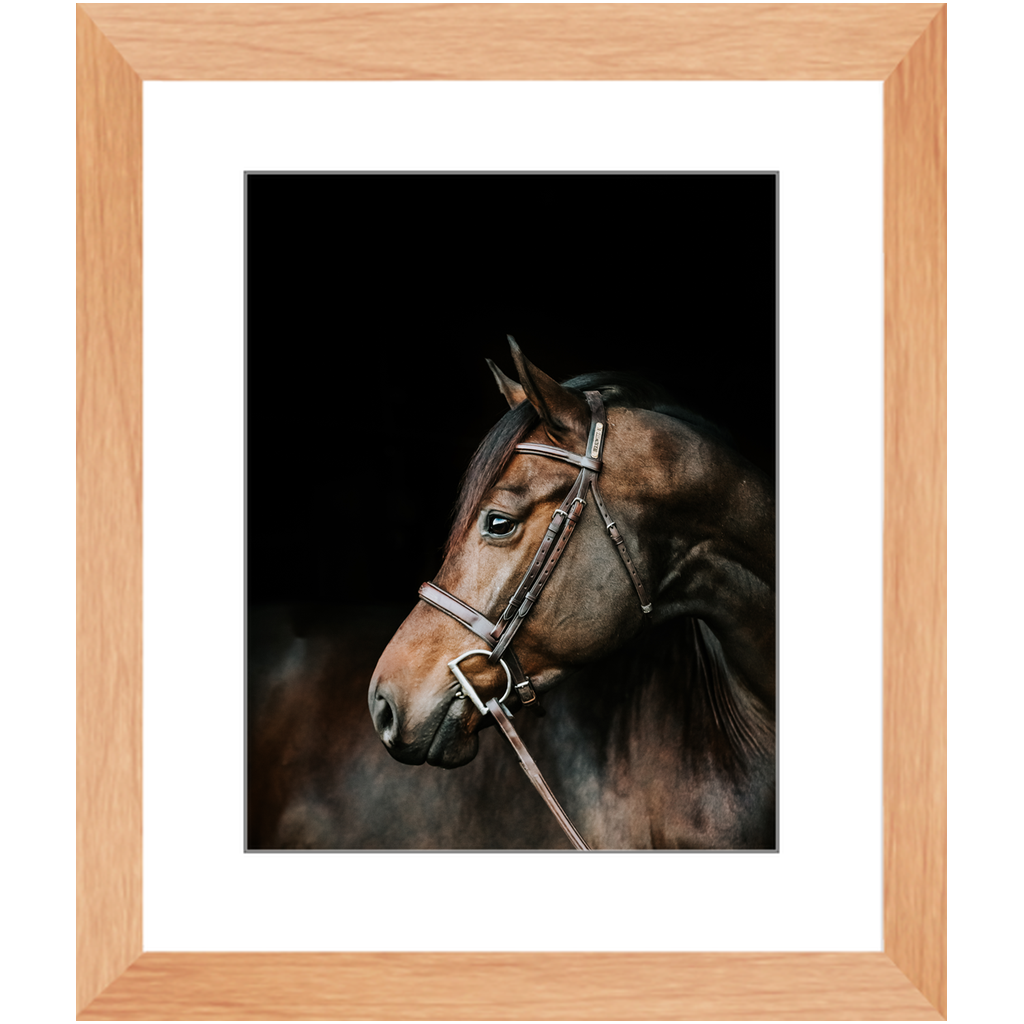 Jovial Series 3, Framed Print