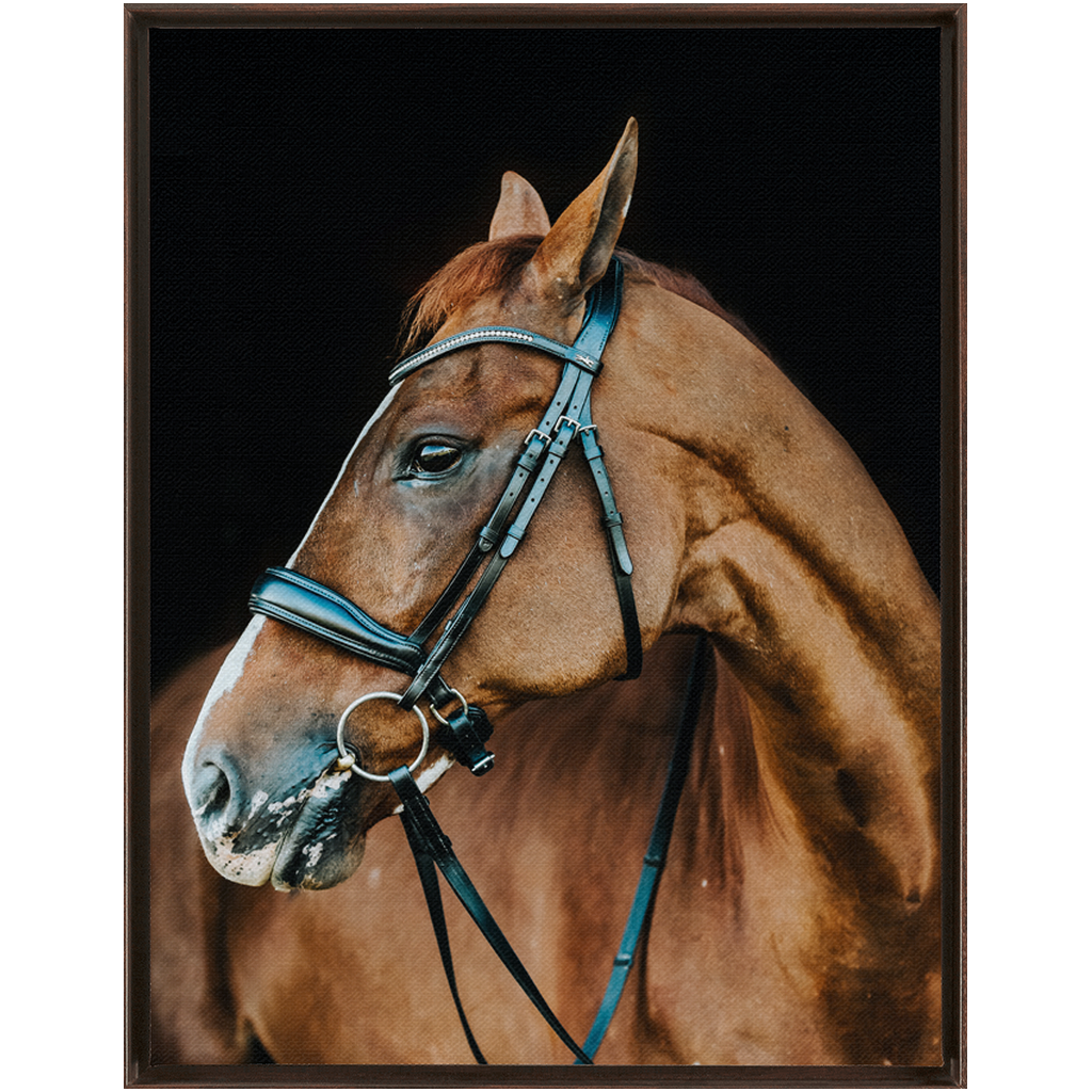 Hudson Series 6, Framed Canvas