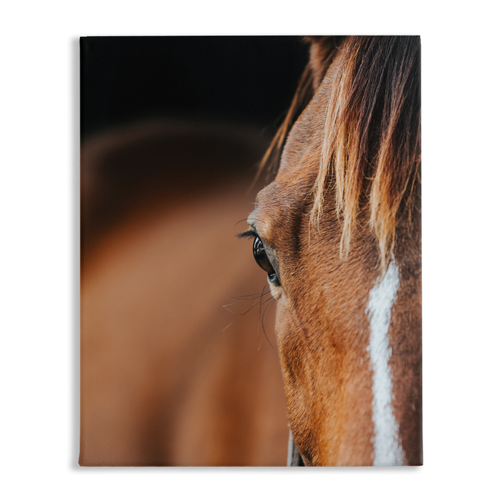 Majestic 1, Stretched Canvas