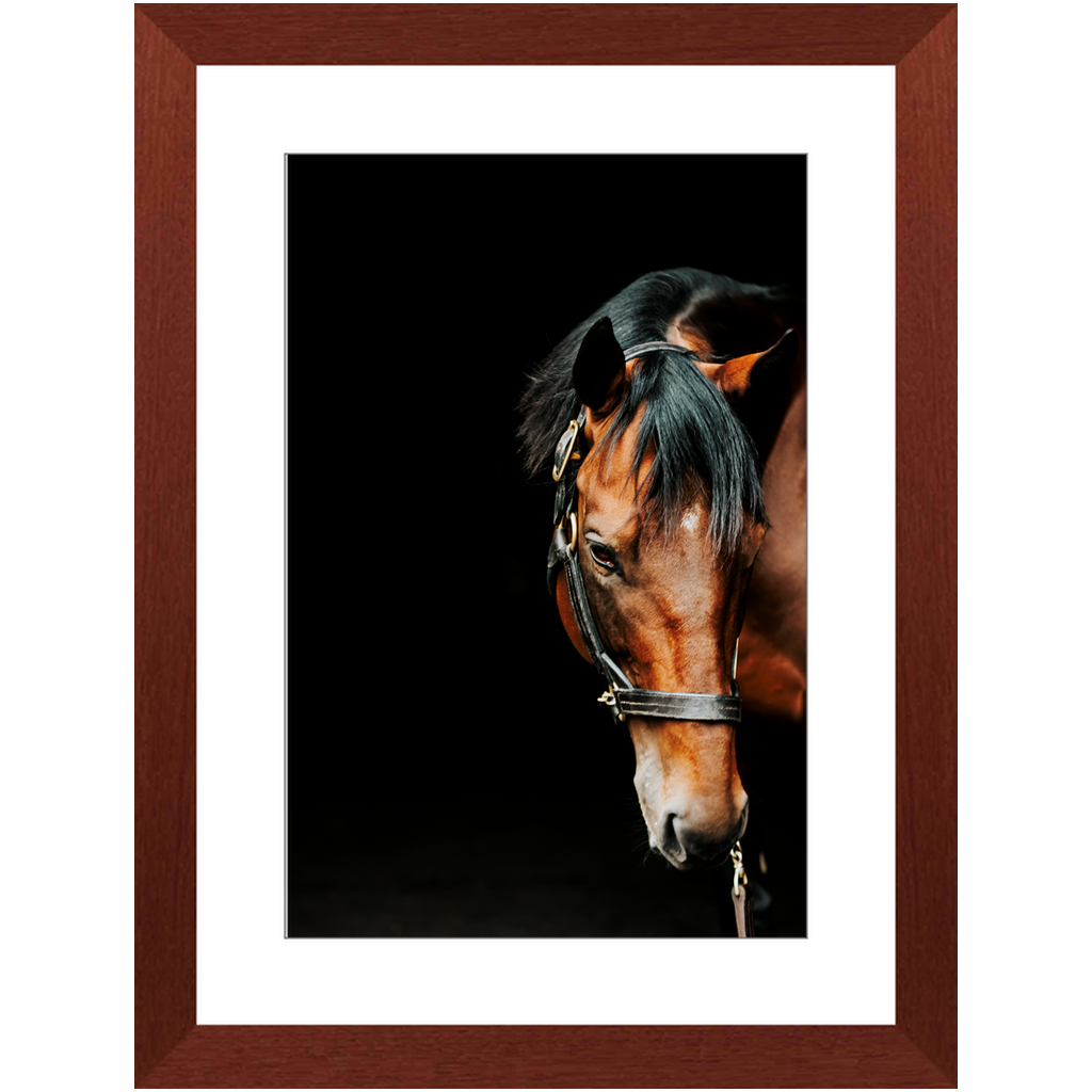 American Pharoah Series 6, Framed Print
