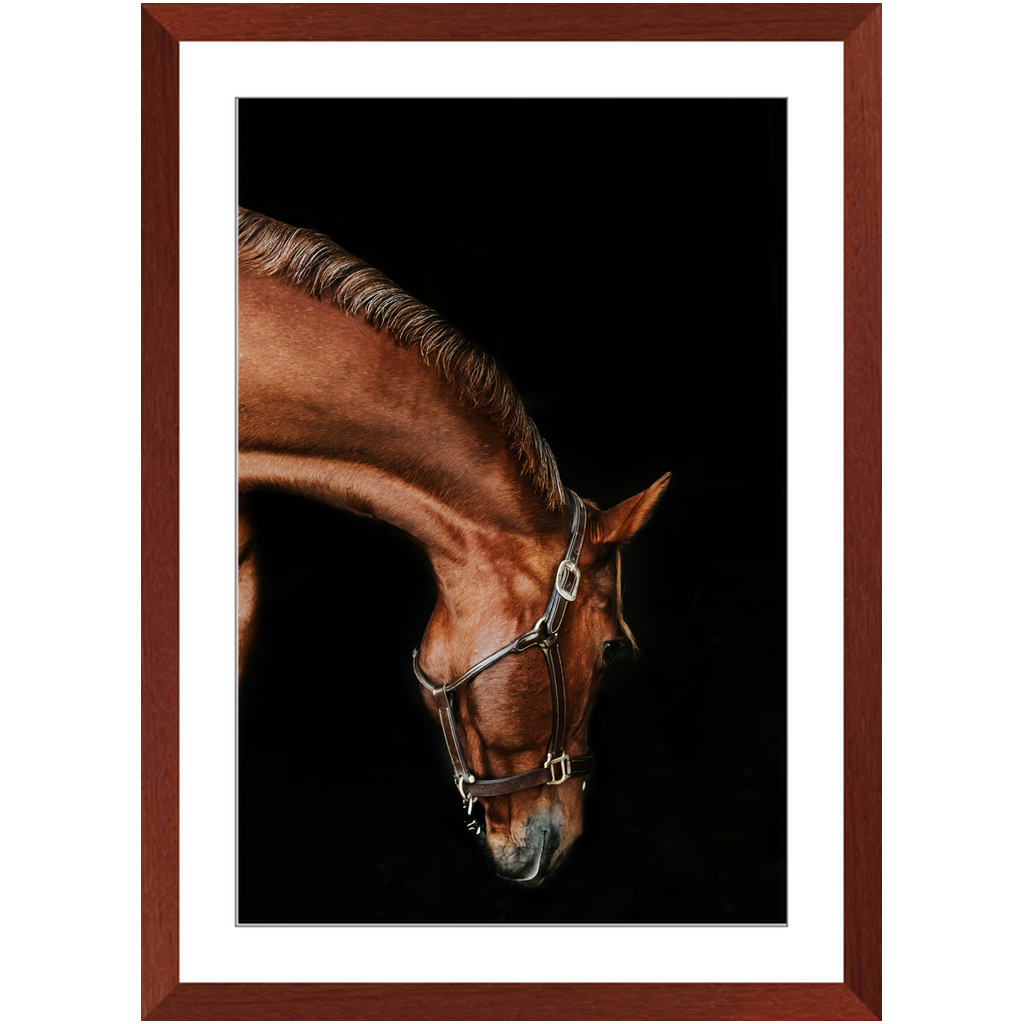 Django Series 6, Framed Print