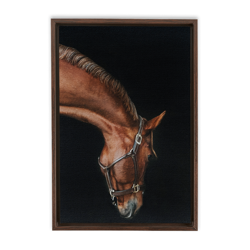 Django Series 6, Framed Canvas