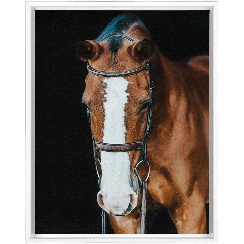 Huntsman Series 6, Framed Canvas