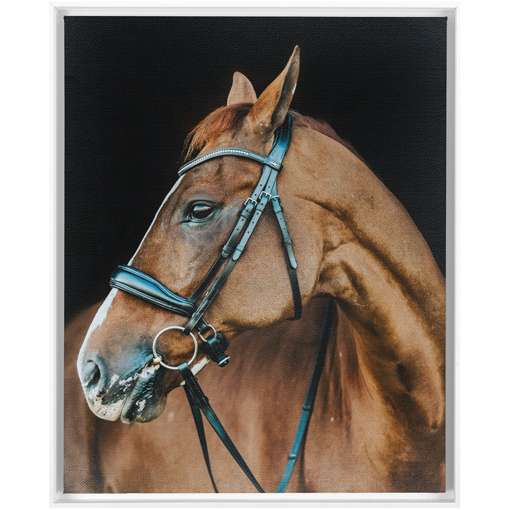Hudson Series 6, Framed Canvas