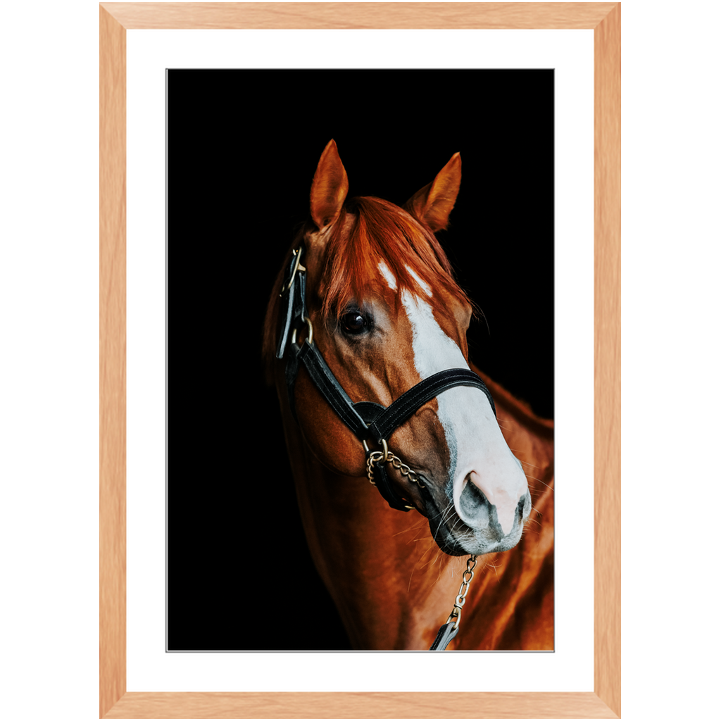 Justify Series 2, Framed Print