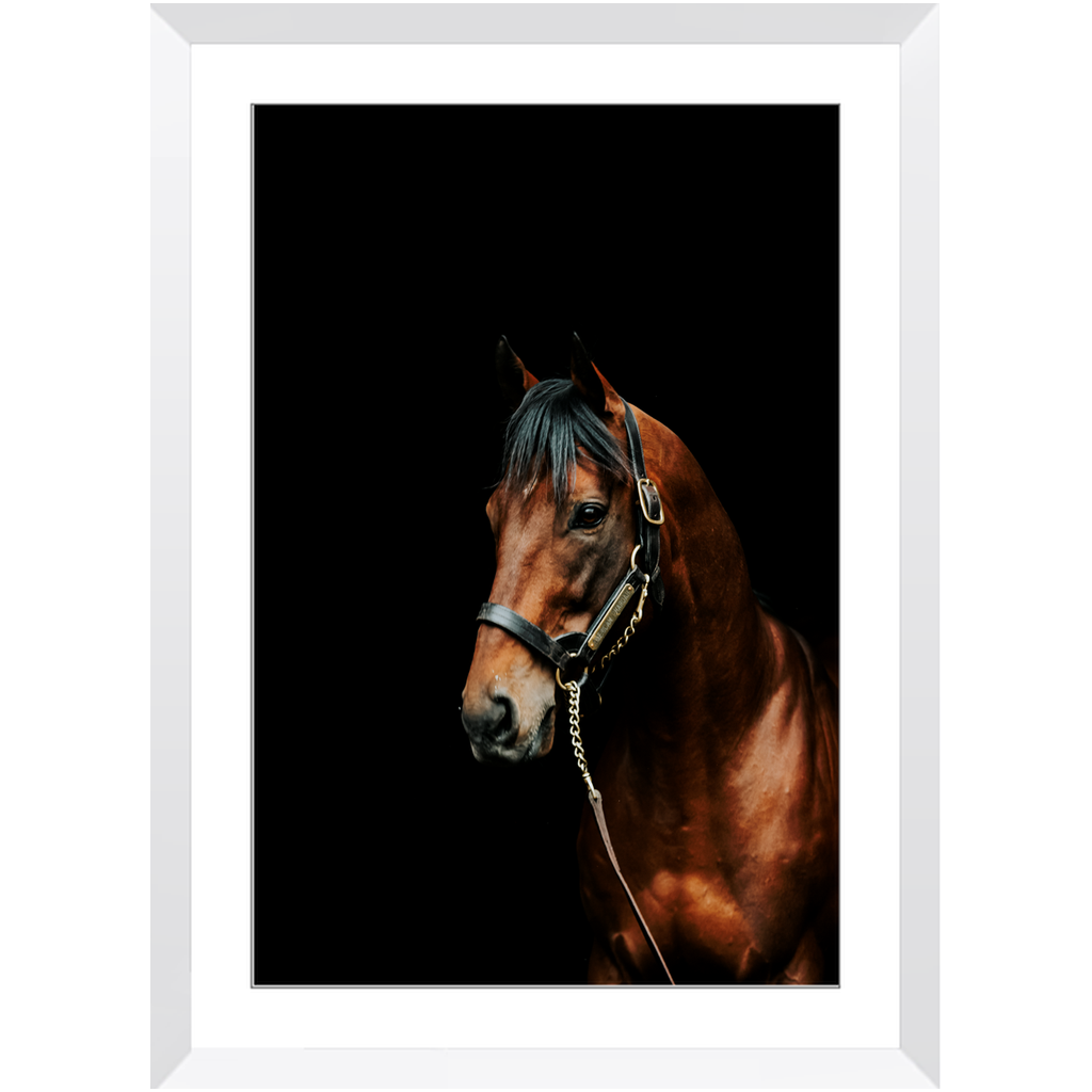 American Pharoah Series 2, Framed Prints
