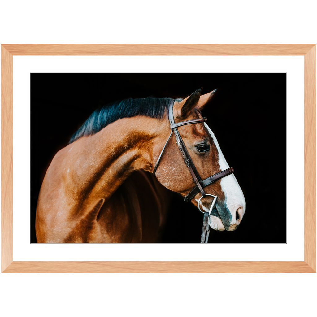 Huntsman Series 3, Framed Print