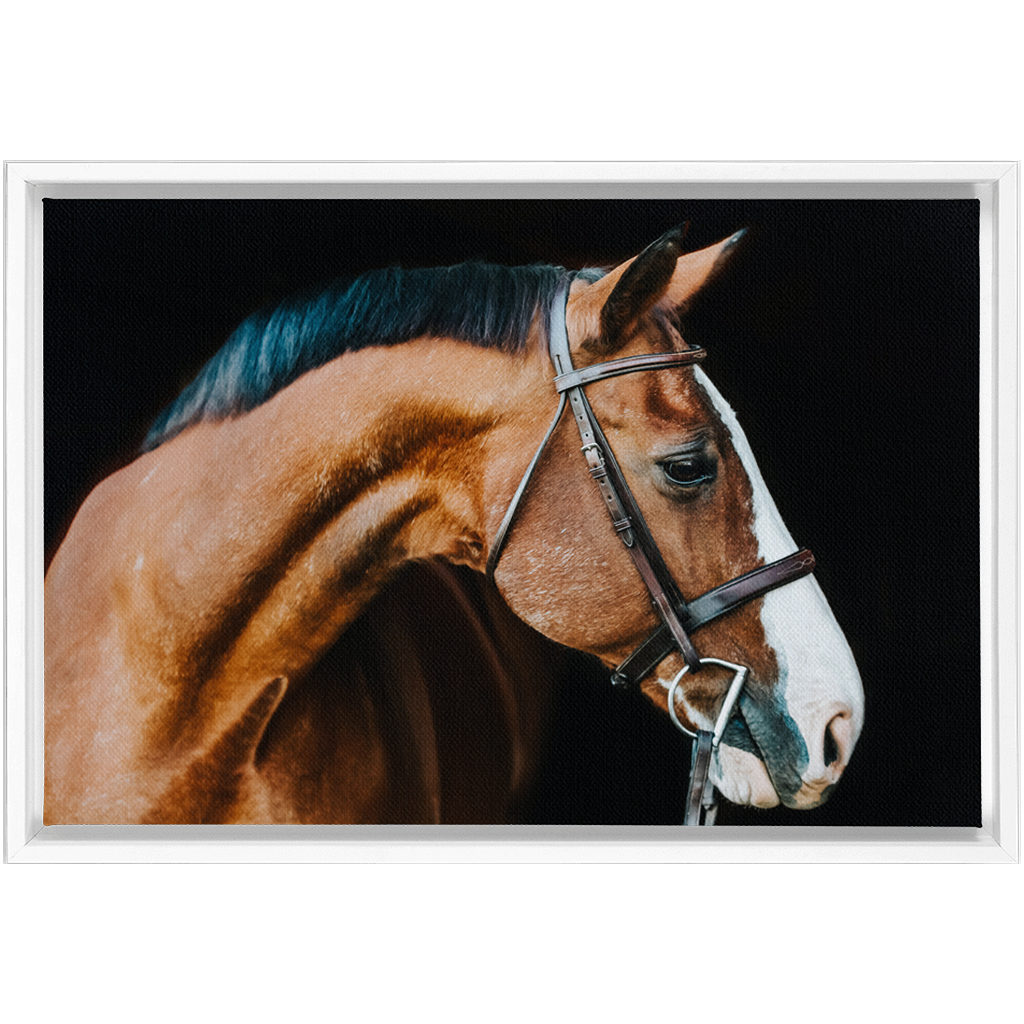 Huntsman Series 3, Framed Canvas