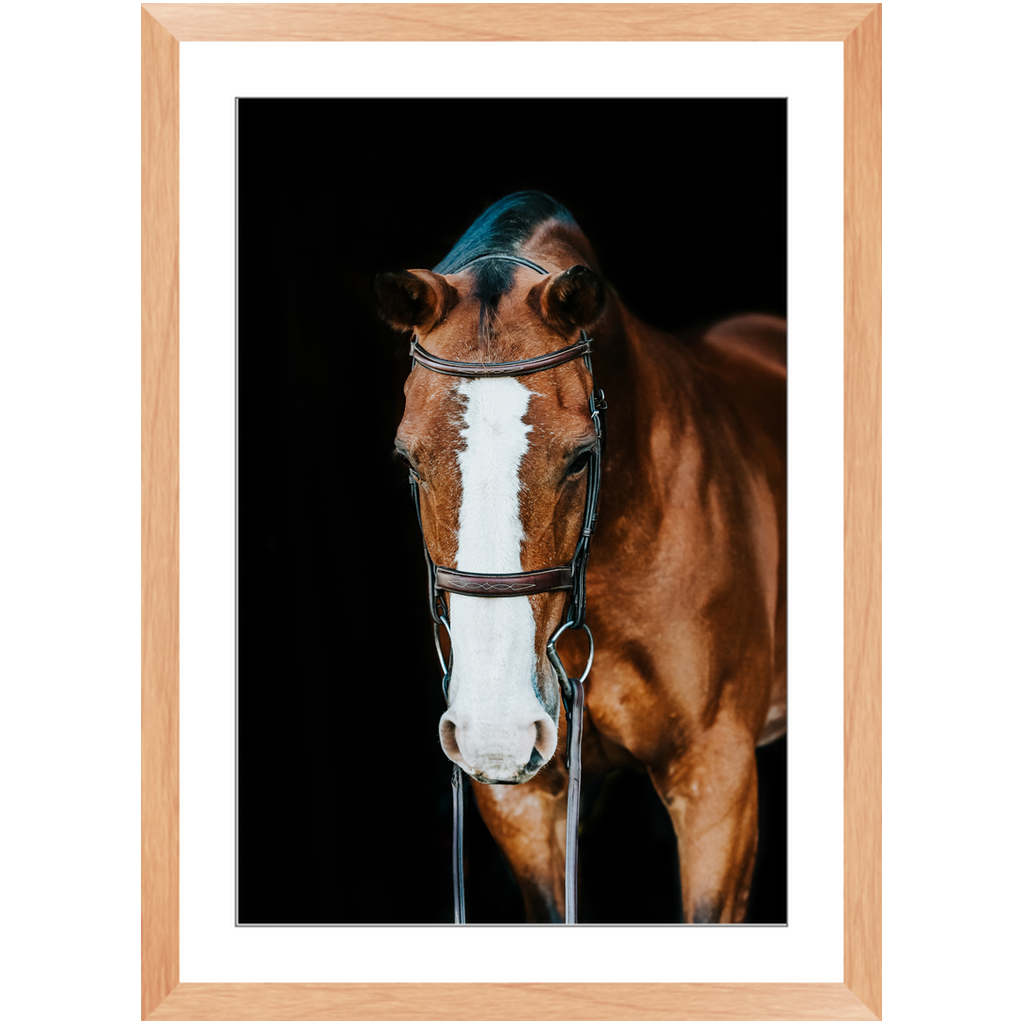 Huntsman Series 6, Framed Print