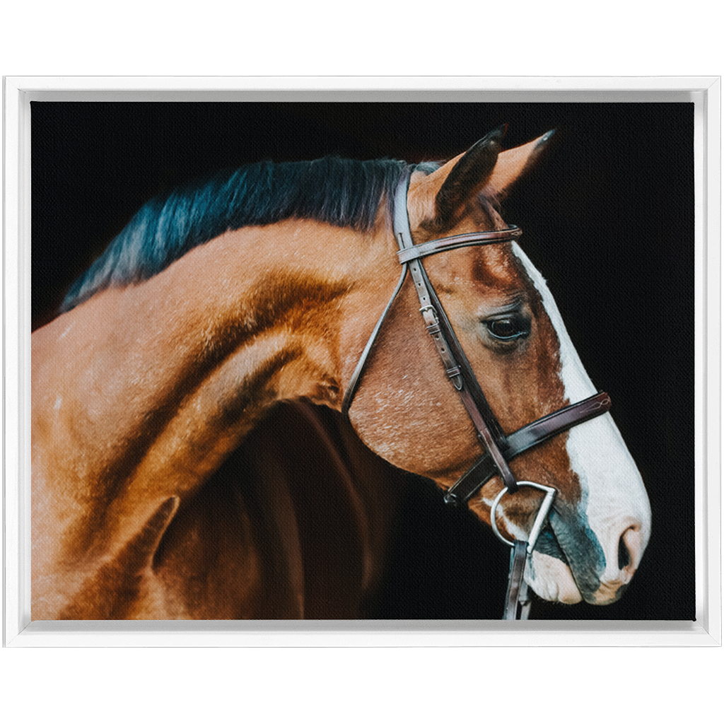 Huntsman Series 3, Framed Canvas