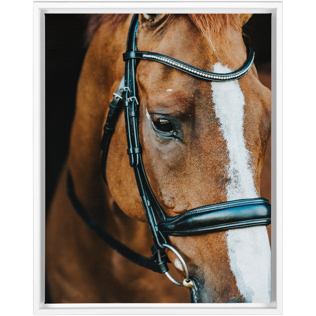 Hudson Series 3, Framed Canvas