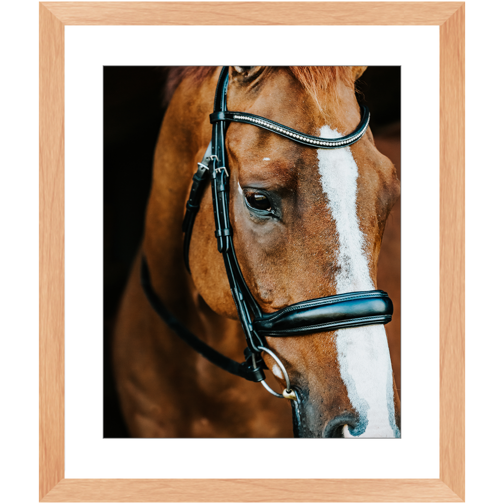 Hudson Series 3, Framed Print