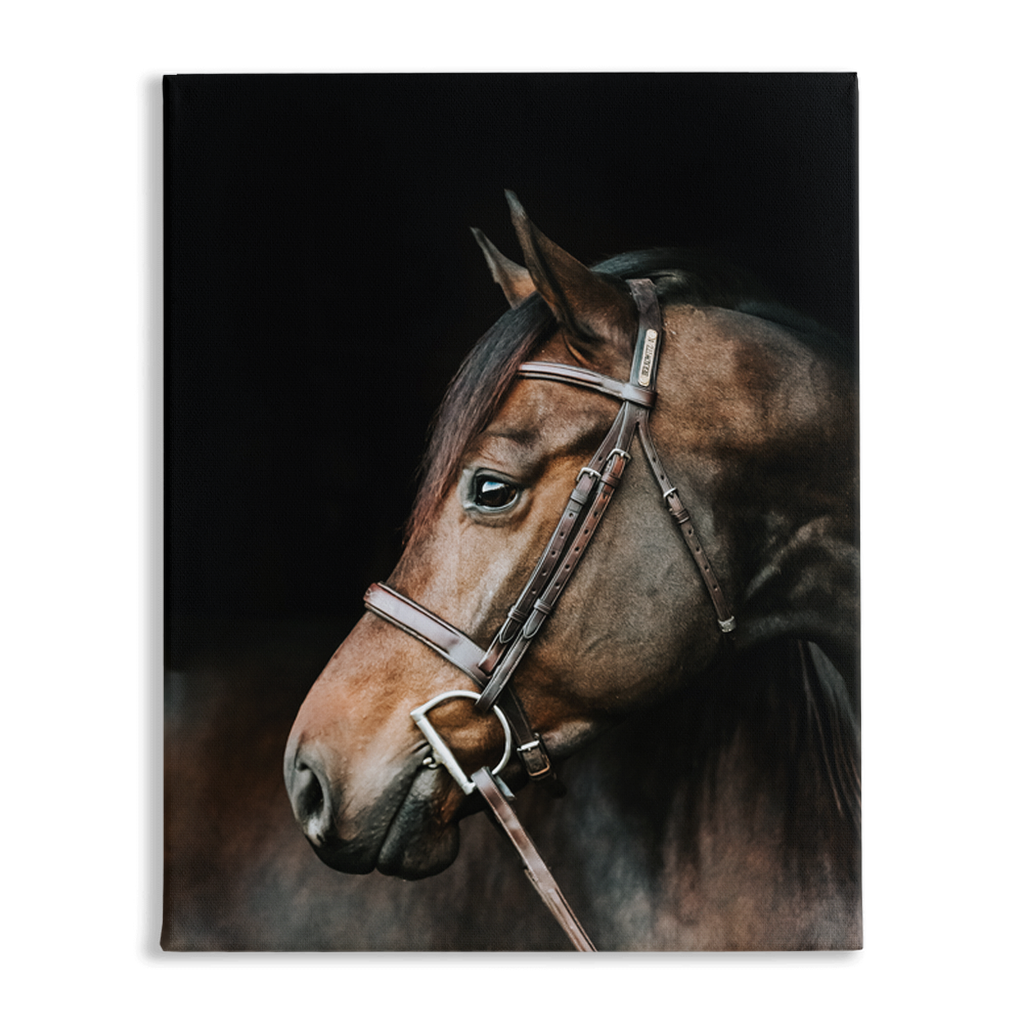 Jovial Series 3, Stretched Canvas