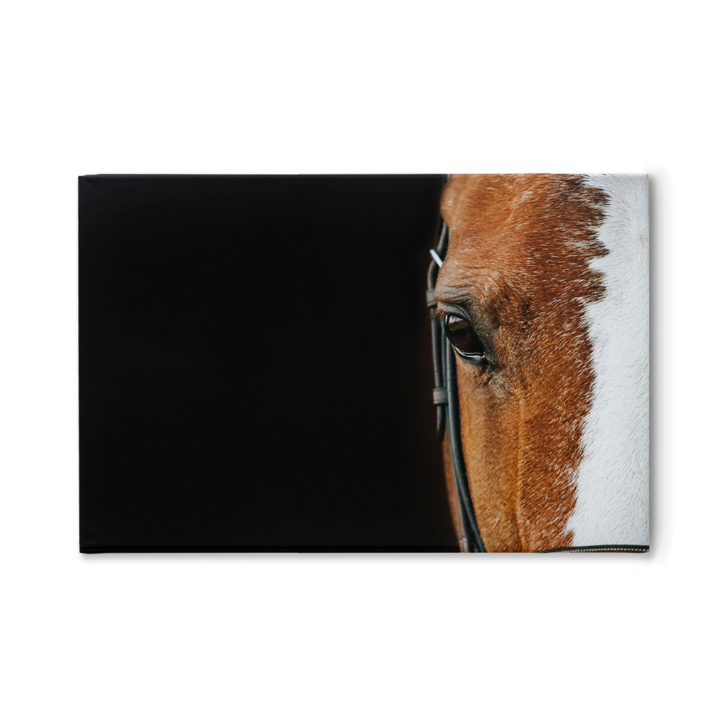 Huntsman Series 5, Stretched Canvas