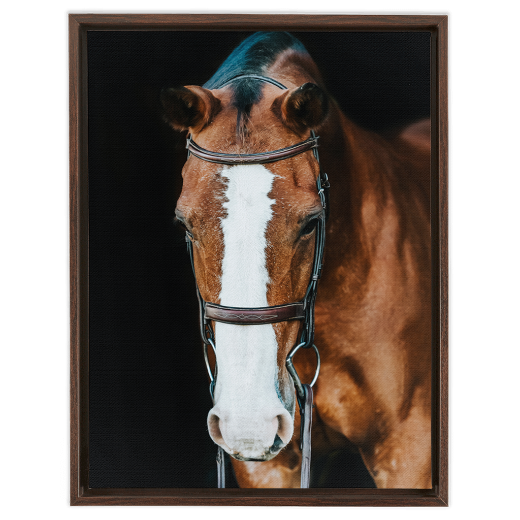 Huntsman Series 6, Framed Canvas
