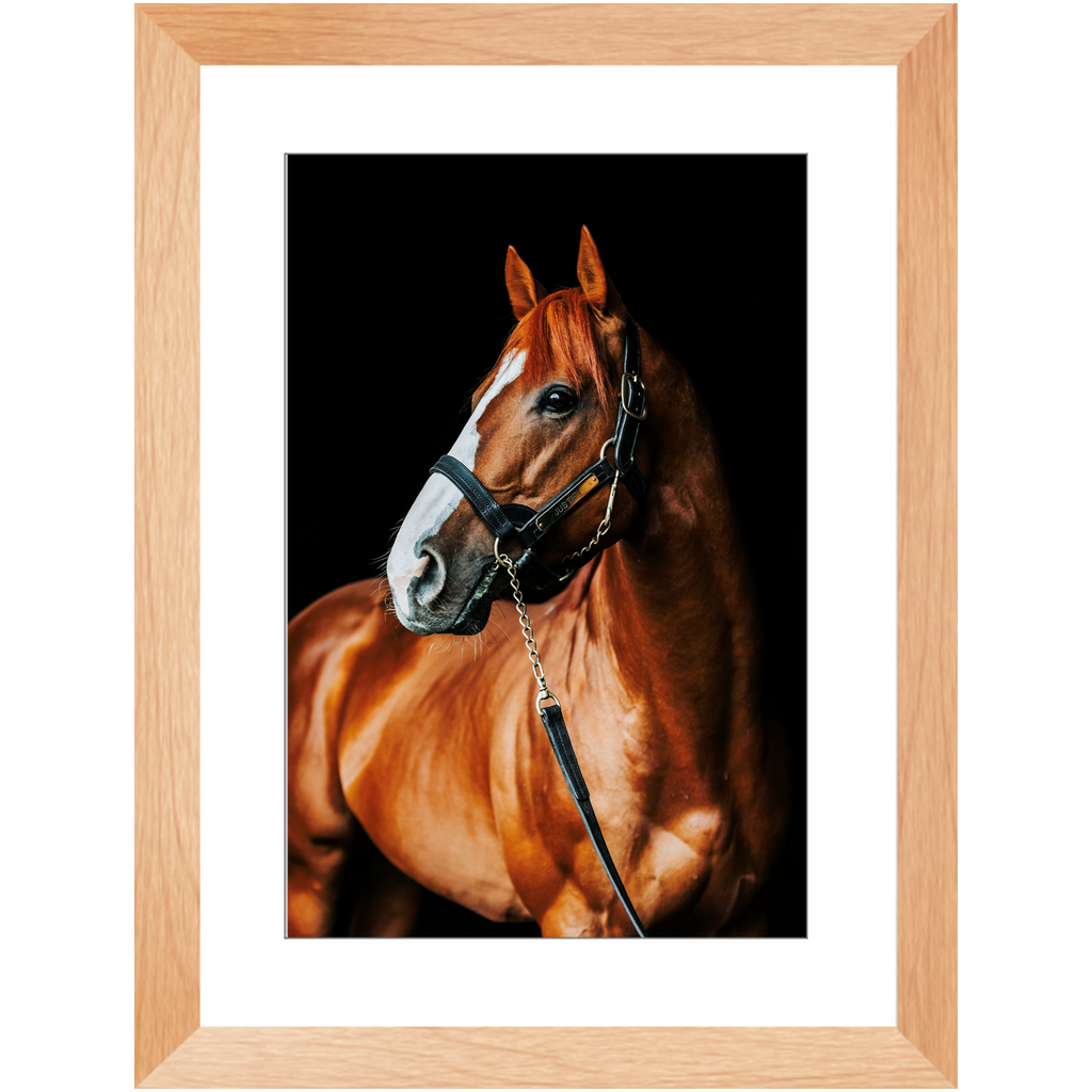Justify Series 1, Framed Print