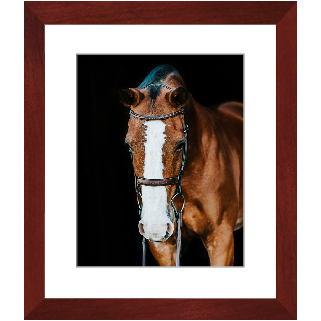Huntsman Series 6, Framed Print