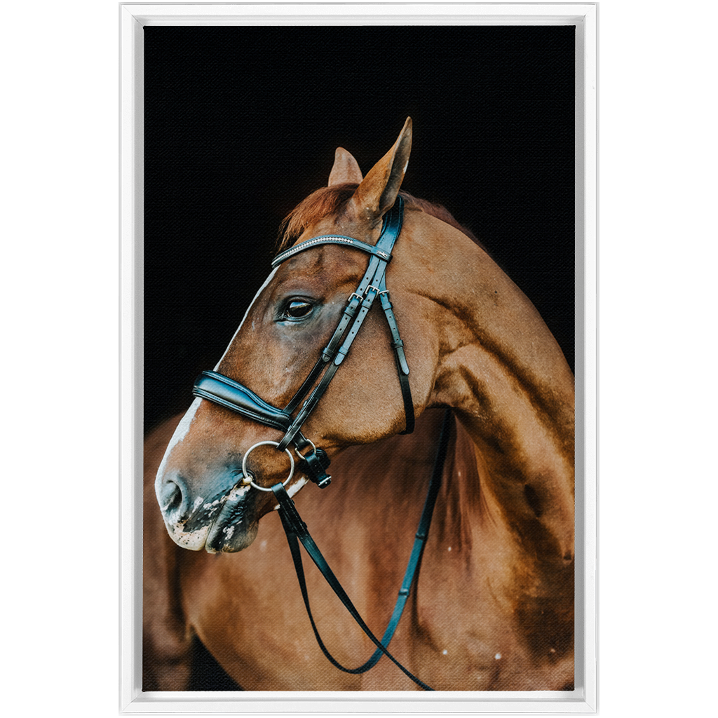 Hudson Series 6, Framed Canvas