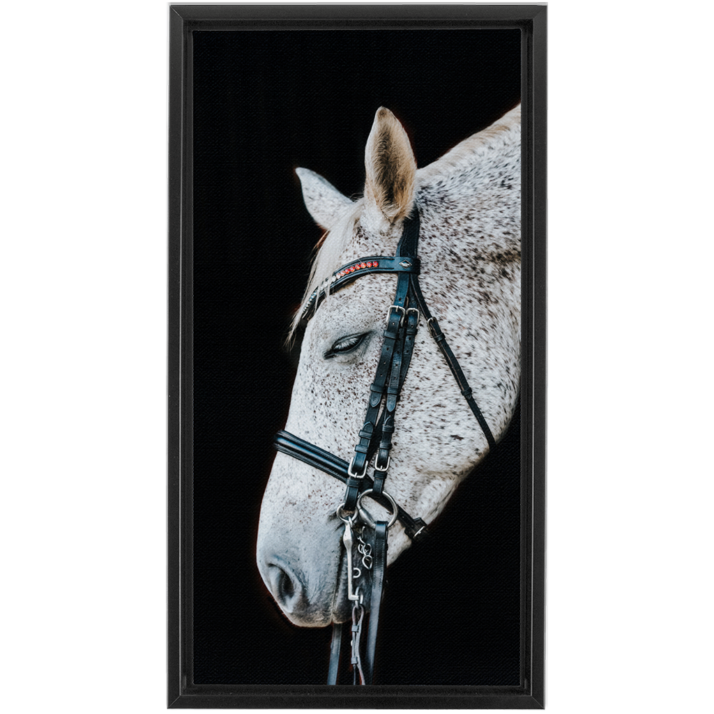 Apollo Series 1, Framed Canvas
