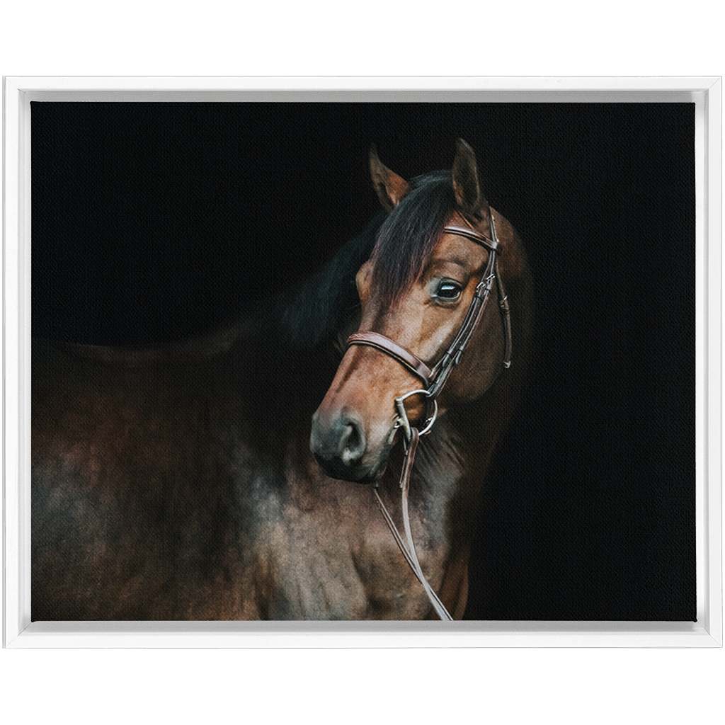 Jovial Series 2, Framed Canvas